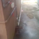 IMG_20250424_090346_516